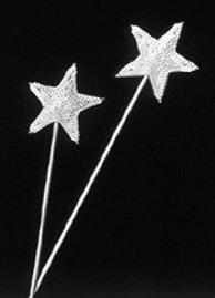 Star Wand