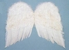 Angel Wings & Halo