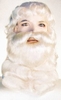 Santa Wig & Beard